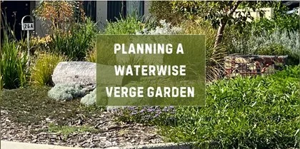 Planning a Waterwise Verge Garden