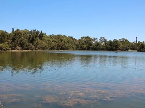 Council backs new plan for Maylands Lakes