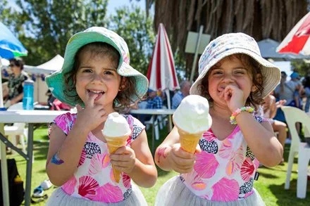 City celebrates summer with festival of free community events