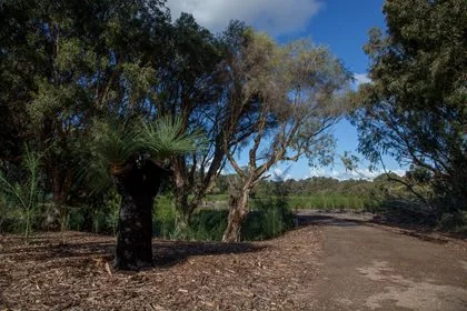 Friends of Eric Singleton Bird Sanctuary weeding morning