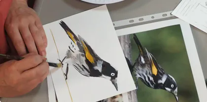 Wonderful Bayswater Wetlands – Nature Painting Workshops