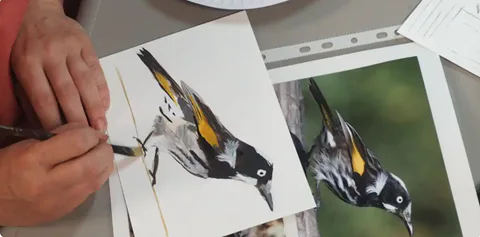 Wonderful Bayswater Wetlands – Nature Painting Workshops
