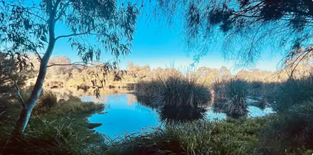 City of Bayswater Bushland Reserves on the Swan