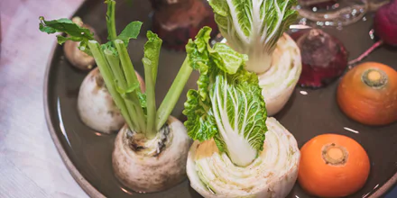 How to Use It All From Root to Shoot