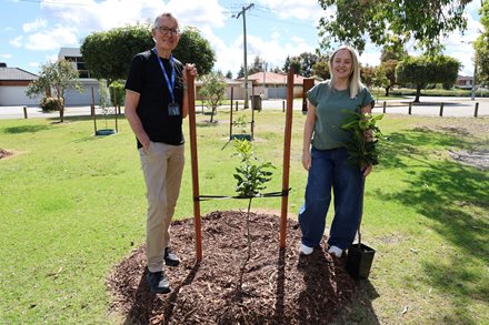 City plants 200 trees to support endangered Carnaby’s Black Cockatoos
