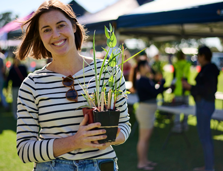 Bayswater Brief Autumn 2025