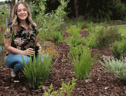 Waterwise native verge program to transform City streets