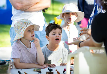 Go wild for nature and First Nations storytelling with City's July school holiday activities