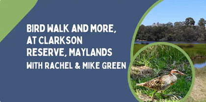 Bird walk and more