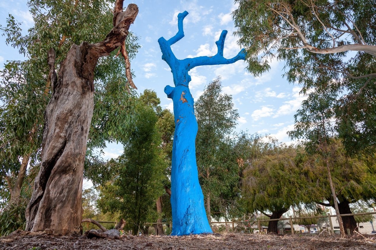 Blue tree at Robert Thompson Reserve