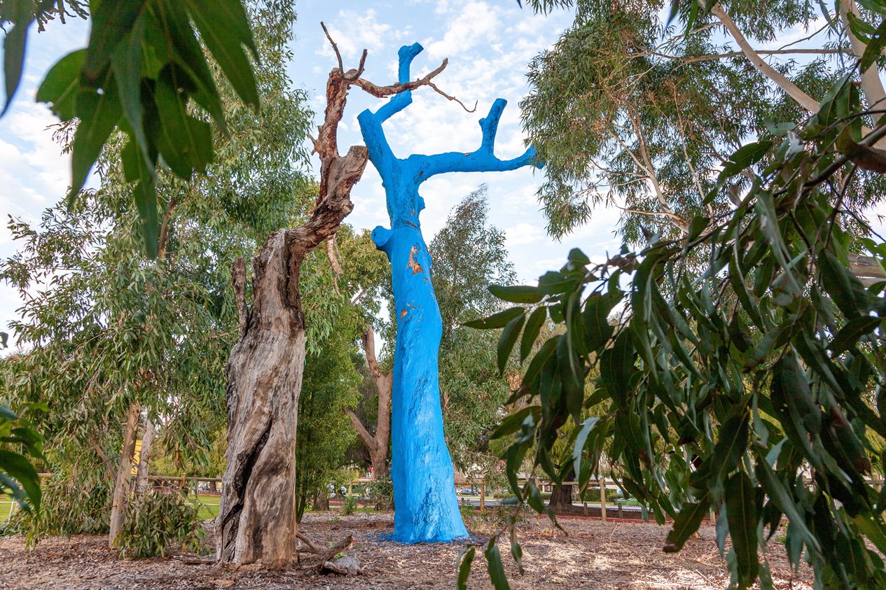 Blue tree at Robert Thompson Reserve
