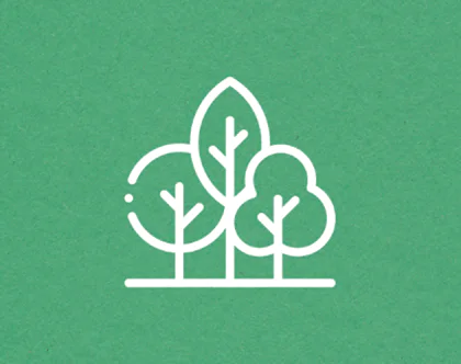 Greening our City