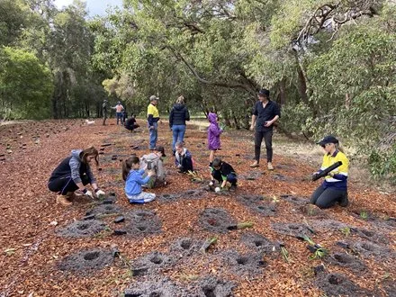 Community Planting Day at Arbor Park