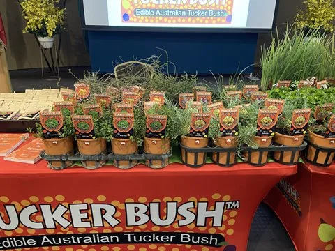 Bushfood for Beginners