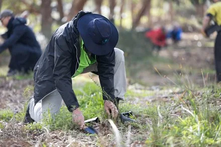 Community Planting Day at Tranby Reserve