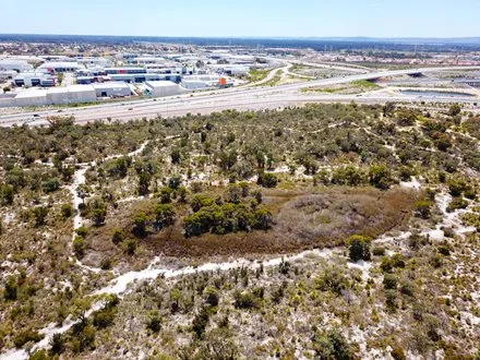 Community Planting Day at Lightning Swamp Bushland