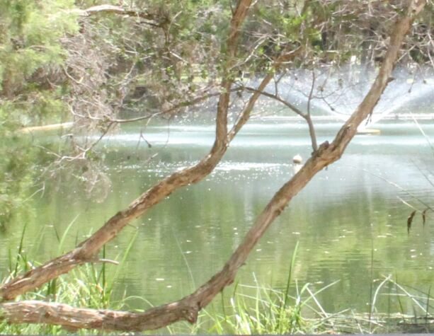 Brickworks Lake