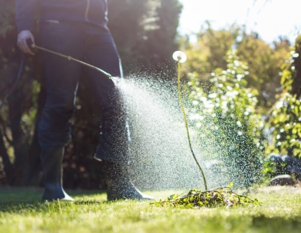 Weed Spraying