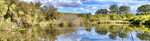 Wonderful Bayswater Wetlands