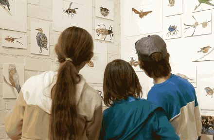 City partners with artist Angela Rossen to showcase wonderful wetlands