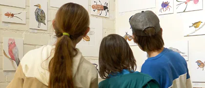 Wonderful Bayswater Wetlands – Biodiversity Survey Exhibition