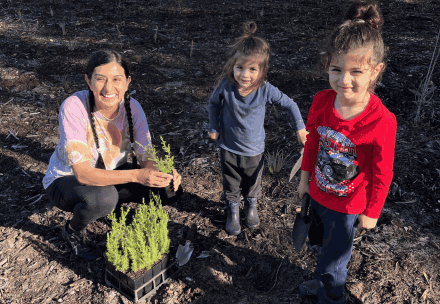 City and volunteers to green Baysie parks this winter planting season