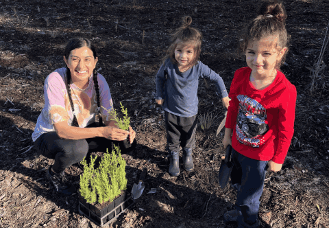 City and volunteers to green Baysie parks this winter planting season