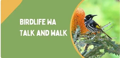 Birdlife WA Talk and Walk through Eric Singleton Bird Sanctuary