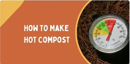 How to Make Hot Compost