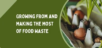 Growing From Food Waste