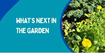 What's next in the garden? Seasonal Planting & Garden Planning