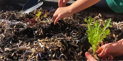 Rainbow Food Gardens for Kids (Ages 7 – 12)