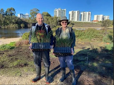 Community Planting Day at Maylands Samphires