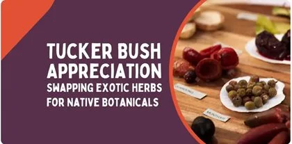 Tucker Bush Appreciation – swapping exotic herbs for Native Botanicals