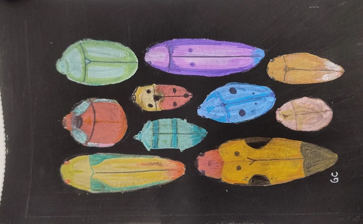 Highly Commended High School Entry (Years 7 – 12) – 'Bugs Life' by Gemma Cook