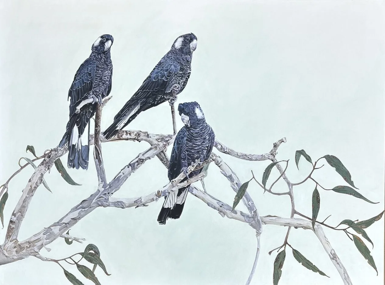 Ellis House Member Award – Jane Meleisea for 'The Last Branch'