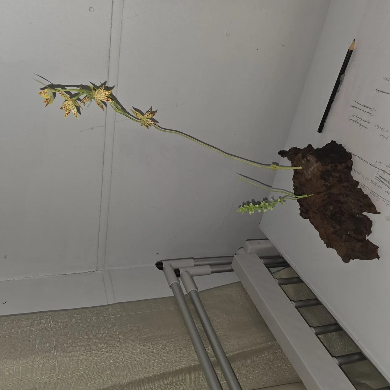 Sculpture Award – 'Leopard Sun and Mignonette Orchids' by Jordan Smith