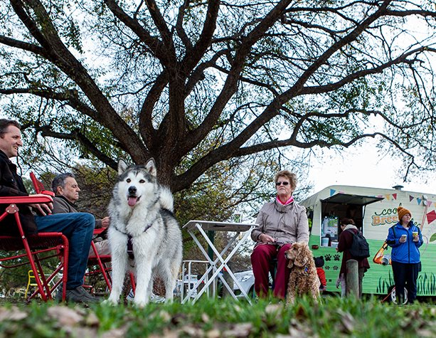 Guidelines for Dog Exercise Areas