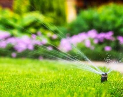 My Watering Days