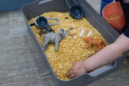 Sensory Storytime (ages 2-5)