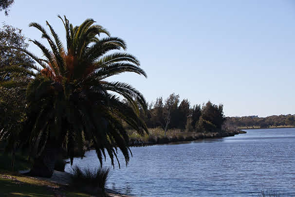 Shellfish Crabbing And Fishing Warning For The Swan River City Of Bayswater