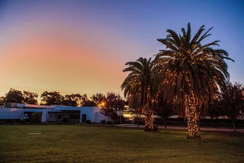 Annual General Meeting of Electors 2026