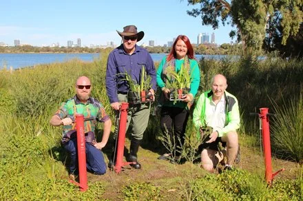 Community planting days to add 30,000 natives across Bayswater