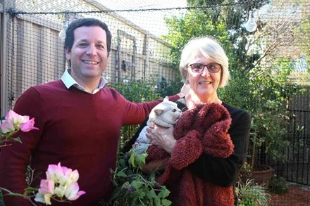 City helps residents keep cats and wildlife safe with Catio Rebate Program