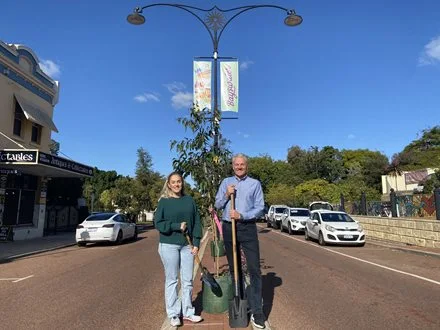 New tree boulevard to line King William Street