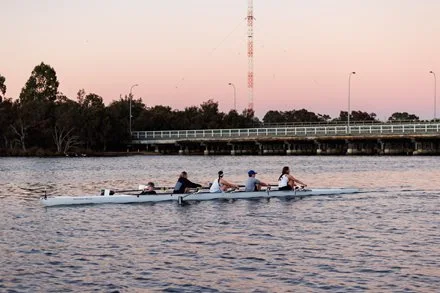 Bayswater Brief winter 2026