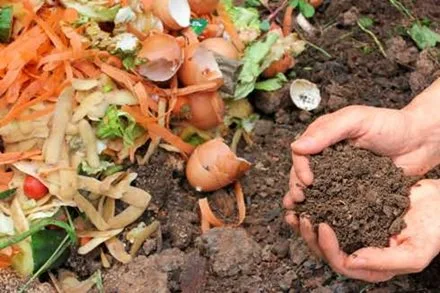 Free Home Composting Program for over 50's