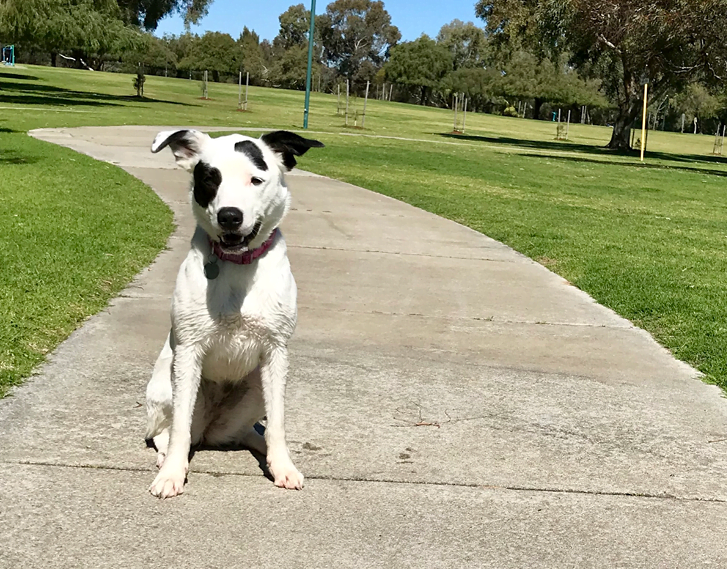 to the City of Bayswater City of Bayswater