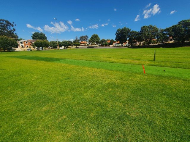 Cricket Pitch
