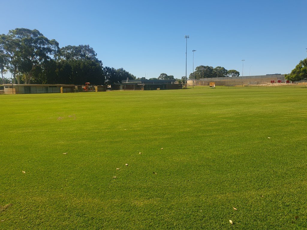 Main Soccer Pitch